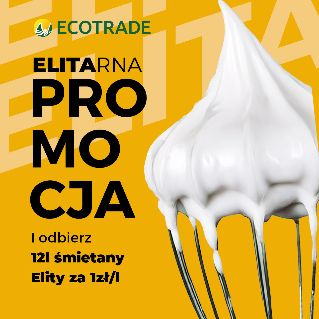 ELITArna PROMOCJA